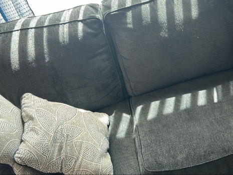 contact about carpet cleaning tx upholstery cleaning tx carpet cleaning in spring upholstery cleaning in spring contact about carpet cleaning tx upholstery cleaning tx carpet cleaning in spring upholstery cleaning in spring